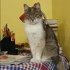 Отзыв от Жанна Журавлева